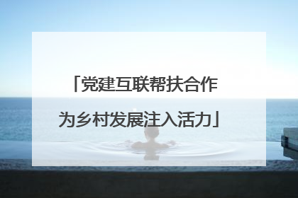 党建互联帮扶合作 为乡村发展注入活力