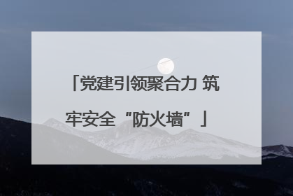 党建引领聚合力 筑牢安全“防火墙”