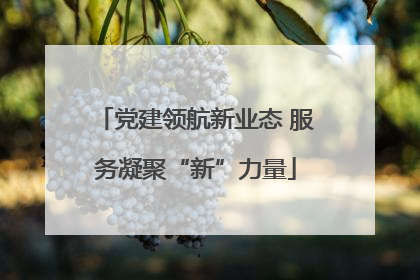 党建领航新业态 服务凝聚“新”力量