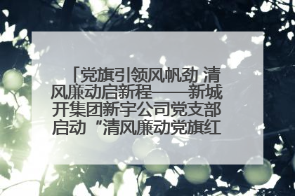 党旗引领风帆劲 清风廉动启新程——新城开集团新宇公司党支部启动“清风廉动党旗红”系列活动