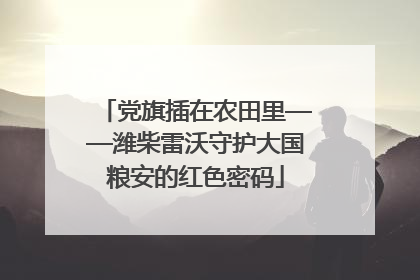 党旗插在农田里——潍柴雷沃守护大国粮安的红色密码
