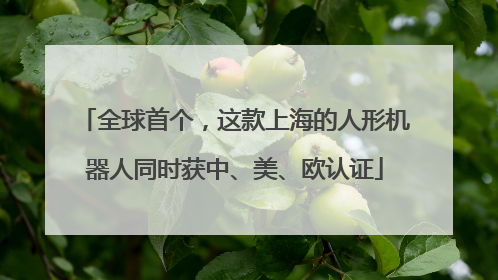 全球首个，这款上海的人形机器人同时获中、美、欧认证