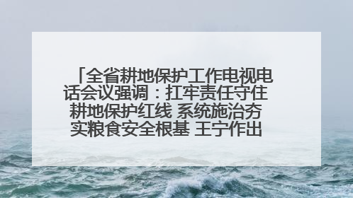 全省耕地保护工作电视电话会议强调：扛牢责任守住耕地保护红线 系统施治夯实粮食安全根基 王宁作出批示 王予波出席并讲话