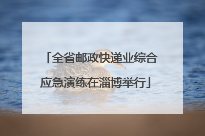 全省邮政快递业综合应急演练在淄博举行