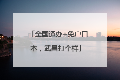 全国通办+免户口本，武昌打个样