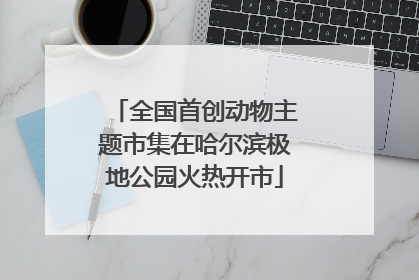 全国首创动物主题市集在哈尔滨极地公园火热开市