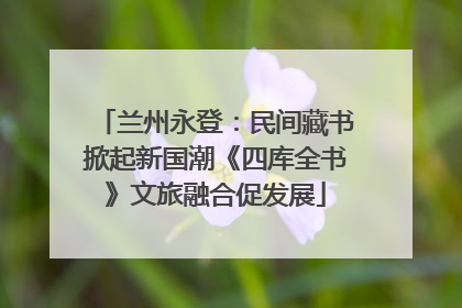 兰州永登：民间藏书掀起新国潮《四库全书》文旅融合促发展