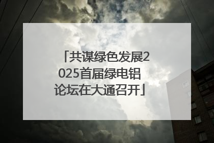 共谋绿色发展2025首届绿电铝论坛在大通召开