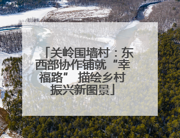 关岭围墙村：东西部协作铺就“幸福路” 描绘乡村振兴新图景