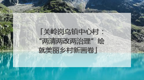 关岭岗乌镇中心村：“两清两改两治理”绘就美丽乡村新画卷