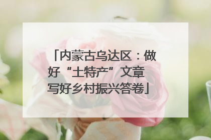 内蒙古乌达区：做好“土特产”文章 写好乡村振兴答卷