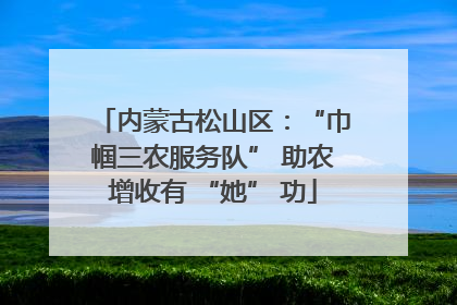 内蒙古松山区：“巾帼三农服务队” 助农增收有 “她” 功