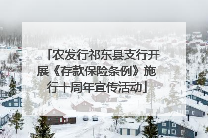 农发行祁东县支行开展《存款保险条例》施行十周年宣传活动