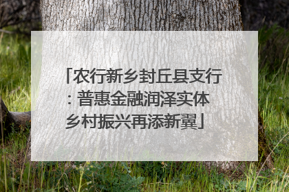 农行新乡封丘县支行：普惠金融润泽实体 乡村振兴再添新翼