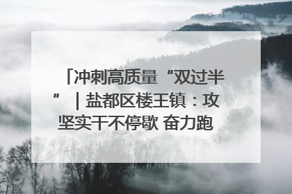冲刺高质量“双过半”｜盐都区楼王镇：攻坚实干不停歇 奋力跑赢“上半场”