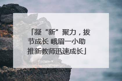 凝“新”聚力，拔节成长 峨眉一小助推新教师迅速成长