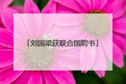 刘国梁获联合国聘书