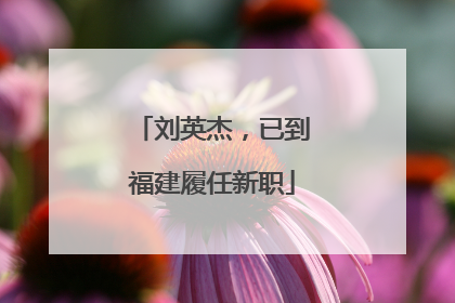 刘英杰，已到福建履任新职