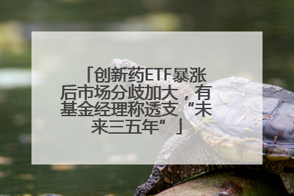 创新药ETF暴涨后市场分歧加大，有基金经理称透支“未来三五年”