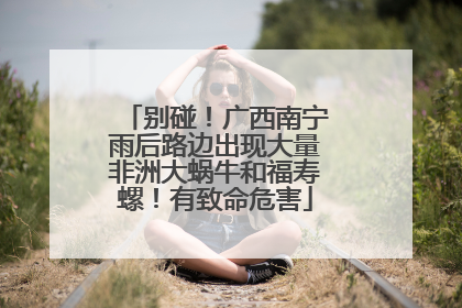 别碰！广西南宁雨后路边出现大量非洲大蜗牛和福寿螺！有致命危害