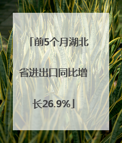 前5个月湖北省进出口同比增长26.9%
