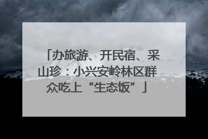 办旅游、开民宿、采山珍：小兴安岭林区群众吃上“生态饭”