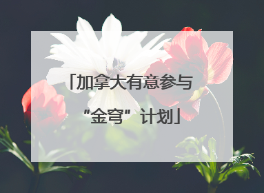 加拿大有意参与“金穹”计划