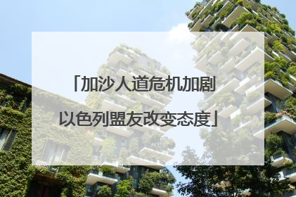 加沙人道危机加剧 以色列盟友改变态度