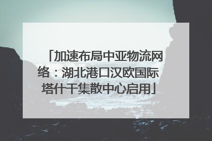 加速布局中亚物流网络：湖北港口汉欧国际塔什干集散中心启用