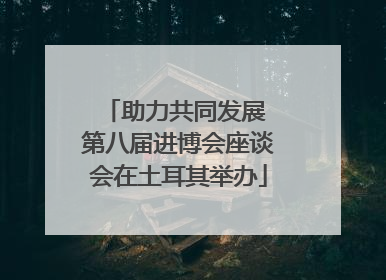 助力共同发展 第八届进博会座谈会在土耳其举办