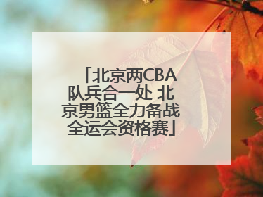 北京两CBA队兵合一处 北京男篮全力备战全运会资格赛