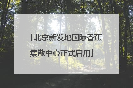 北京新发地国际香蕉集散中心正式启用