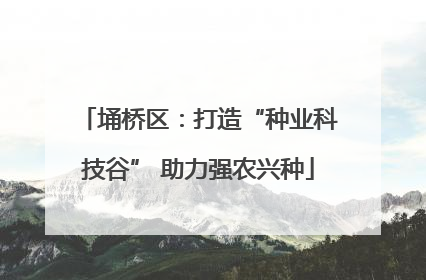 埇桥区：打造“种业科技谷” 助力强农兴种