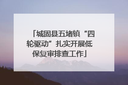 城固县五堵镇“四轮驱动”扎实开展低保复审排查工作