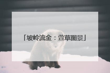 坡岭流金：萱草图景