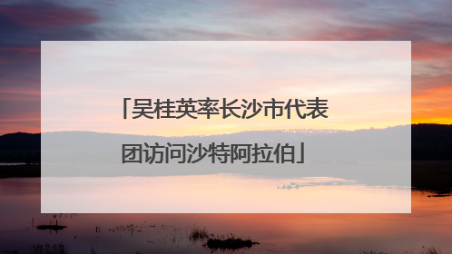 吴桂英率长沙市代表团访问沙特阿拉伯