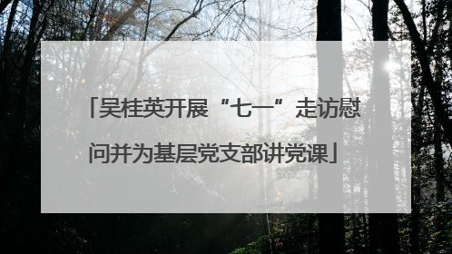 吴桂英开展“七一”走访慰问并为基层党支部讲党课