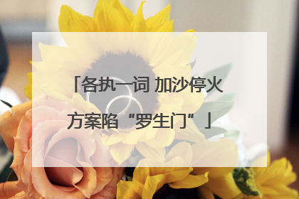 各执一词 加沙停火方案陷“罗生门”