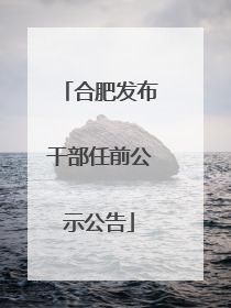 合肥发布干部任前公示公告