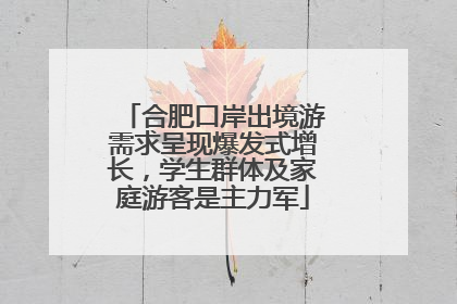 合肥口岸出境游需求呈现爆发式增长，学生群体及家庭游客是主力军