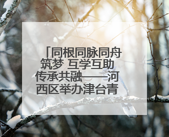 同根同脉同舟筑梦 互学互助传承共融——河西区举办津台青少年国学交流活动