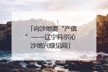 向沙地要“产值”——辽宁科尔沁沙地兴绿见闻