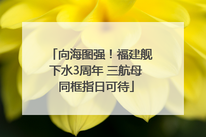 向海图强！福建舰下水3周年 三航母同框指日可待