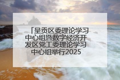 呈贡区委理论学习中心组暨数字经济开发区党工委理论学习中心组举行2025年第七次学习会议