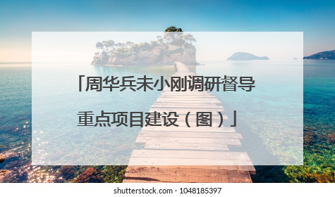 周华兵未小刚调研督导重点项目建设（图）