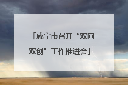 咸宁市召开“双回双创”工作推进会