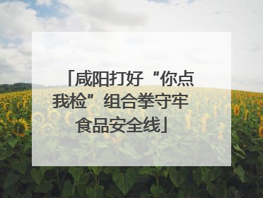 咸阳打好“你点我检”组合拳守牢食品安全线