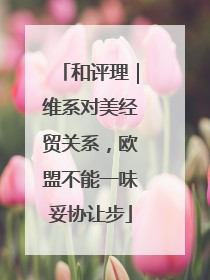 和评理｜维系对美经贸关系，欧盟不能一味妥协让步
