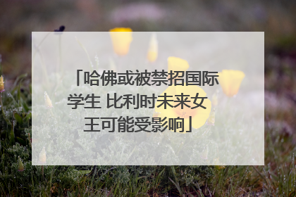 哈佛或被禁招国际学生 比利时未来女王可能受影响