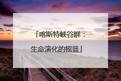 喀斯特峡谷群：生命演化的摇篮